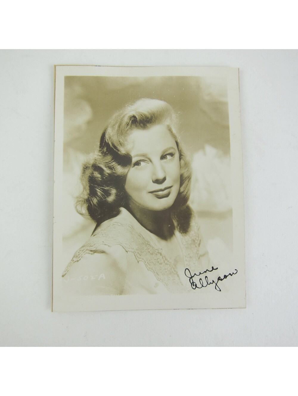 June Allyson Photograph 5x4 Hollywood Actress Portrait Vintage 1940s